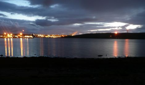 The whale shortly after it died in the early hours of Sunday morning while work continued round the clock in Sullom Voe, busy with the construction work for the new gas plant - Photo: Shetland News