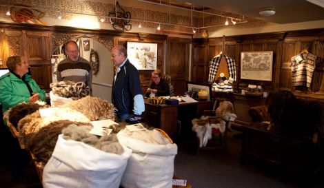 Shetland Organics secretary Pete Glanville (second left) explains to visitors about the exhibition. Pic. Billy Fox