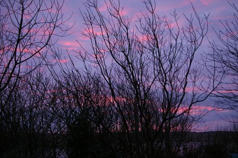 Pink winter sunset