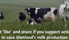 Growing support for the local dairy industry - Source: Save our Shetland Milk Facebook site