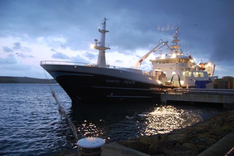 Peterhead pelagic trawler Quantas lands mackerel at Shetland Catch on Friday. Pic. Shetnews