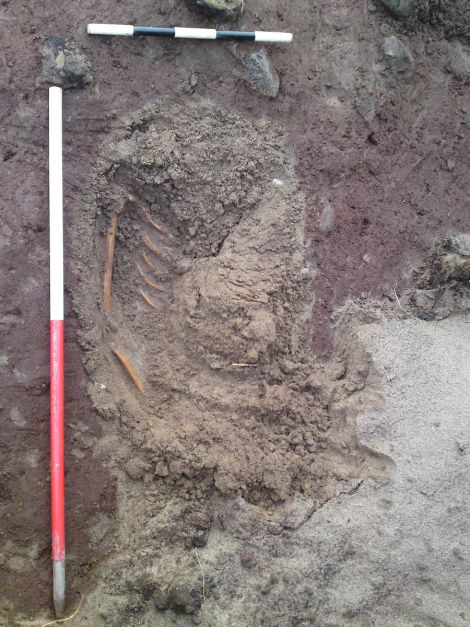 2,000 years old human remaions were exposed by the storms - Photos: Shetland Amenity Trust