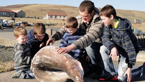 James Isbister with his four sons Robby (4), Hanson (9), Danny (5) and Callum (12) examining the frozen ling - Photo: Hans J Marter