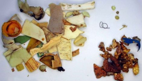 This plastic was found in the stomach of a fulmar. Photo KIMO