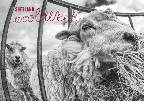 Shetland Wool Week - Photo: Dave Wheeler