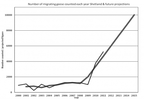 Number of migrating geese.