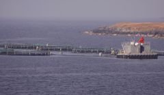 Laxfirth salmon farm, operated by Hjaltland Seafarms, saw more seals shot than any other site in Scotland between January 2011 and June 2012. Photo Shetland News