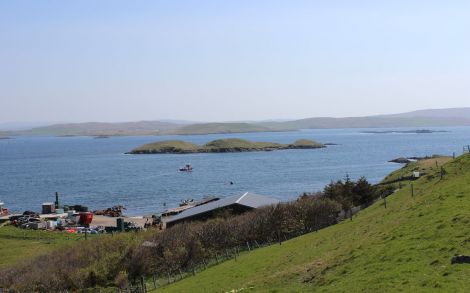 Hoganess salmon farm's Cloudin site where the illegal nets were set. Photo Shetland News