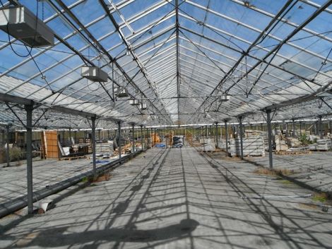 Inside the redundant Tingwall glasshouse. Photo Transition Shetland