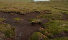 Eroded peatland at Kirkabister, Bressay. Photo RI Jones