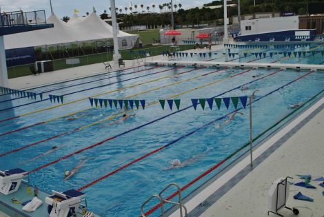 The training has already started in the Bermuda pool.