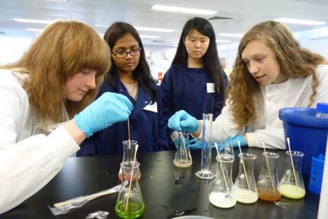 Biology day: Morven Davies and Bronagh Goodlad search for the presence of starch and DNA in samples.