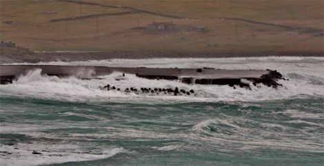 Strong winds flung a large rock onto the runway at Sumburgh Airport. Photo: Ronnie Robertson