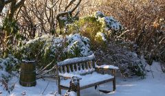 Longing for some snow to turn the the garden into a white fairytale - Photo: Rosa Steppanova/Lea Gardens