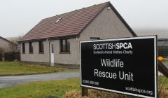 The SSPCA wildlife rescue unit has been closed after 20 years of active service. The SSPCA has yet to explain how it plans to deal with oiled birds in the event of an oil spill. Photo Shetnews