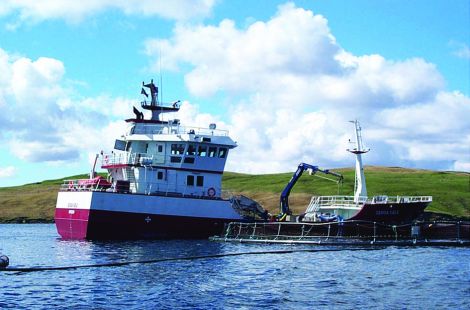 Hjaltland Seafarms admitted importing 1.1 million juvenile salmon from Norway without putting them into quarantine.