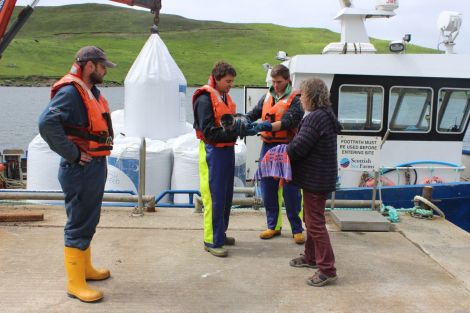 Saving Marley. From left: George Miller, Shaun McAlister and Cameron Jones hand the seal pup over to Jan Bevington at the Mangaster pier after rescuing it.