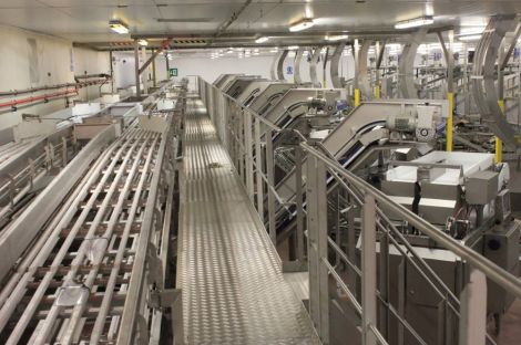 Shetland Catch's new packing line - Photo: Shetland Catch.