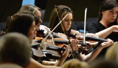 The orchestra's string section: 'flitting between grandeur and reflection' - Photo: Malcolm Younger/Millgaet Media