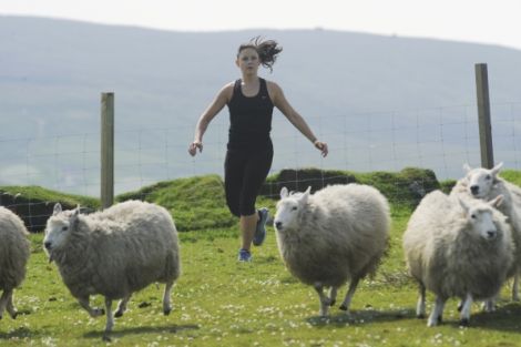 One of the game show challenges was to herd sheep. Photo: Heather Wines/CBS