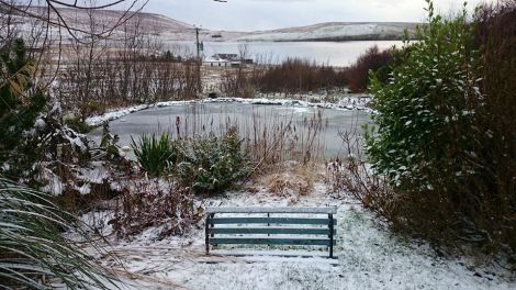 A dusting of snow.