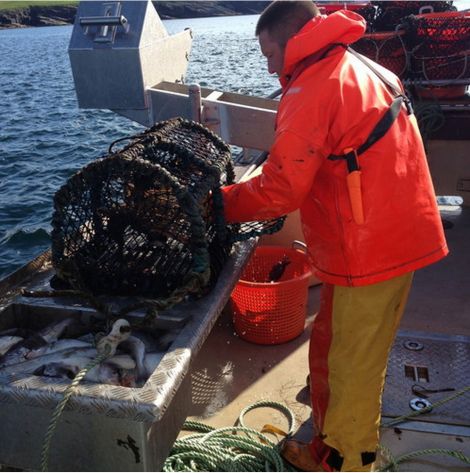 Creel fisherman Alan Pottinger hard at work. Photo: Jane Moncrieff