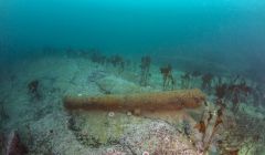 Cannon from the Drottningen af Swerige, photographed on the seabed by Donald Jeffries.