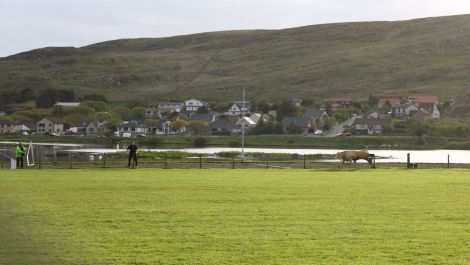 The bull is charging at bystanders at Clickimin - Photo: Emma Dawn Coote