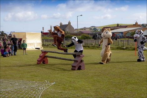 Furry animals taking on an obstacle course. Photo: Dale Smith