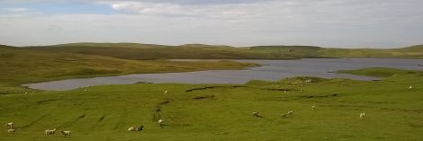 Dangerous waters: the Loch of Vaara, a popular fishing loch between Aith and Clousta, where an algal bloom caused the death of a dog on Monday.