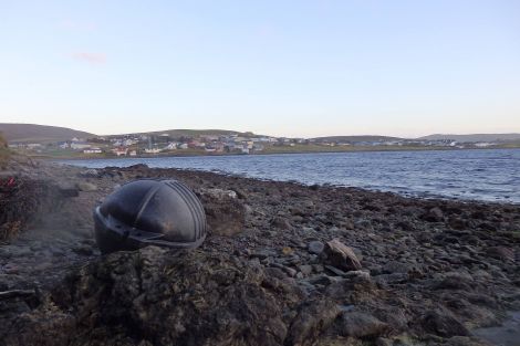 A mussel float lying on the coast at Brae. Photo Wills Sandilands