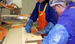 Twenty jobs are to be lost in the fish factory while a further five have gone on the sea sites.