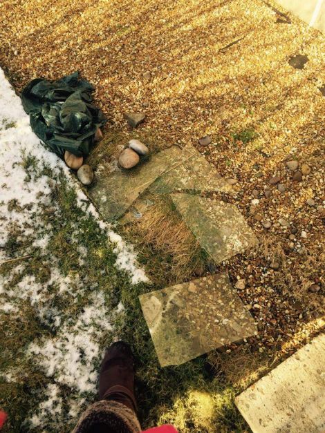 The broken panel of glass in the Union Street shared garden.