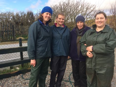 The Shetland Vets team at Hillswick Wildlife Sanctuary - (from left) vet Rebecca Manson,vet student Charis Stevenson, HWS owner Jan Bevington and vet nurse Siân Bryant. Photo HWS