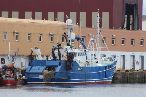 The Whalsay whitefish trawler Venturous berthed at the fish market last weekend - Photo: Hans J Marter/ShetNews.