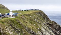 Orca watchers at Sumburgh Head on Tuesday - Photo: Ruairidh Mackenzie