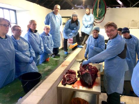 Andrew Brownlow carries out an autopsy on a female porpoise at Hillswick Wildlife Sanctuary in front of a large group of new strandings volunteers.