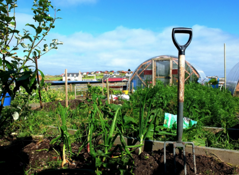 The new group envisages creating allotments in Lerwick similar to a scheme already up and running in Sandwick. Photo: Steven Christie