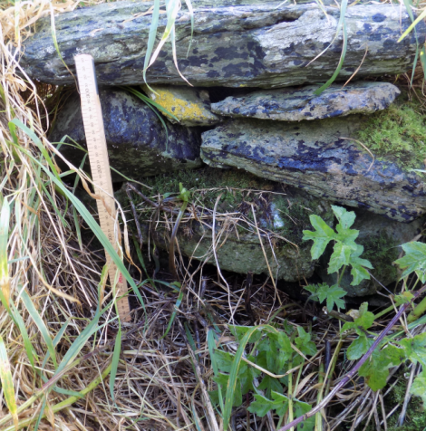 An exposed walling in the interior depression.