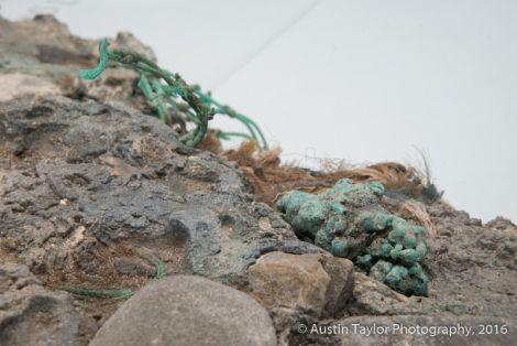 Plastic is weaving itself into the fabric of the earth - Photos: Austin Taylor