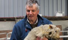 Sheep breeder Richard Briggs - Photo: Hans J Marter/ShetNews