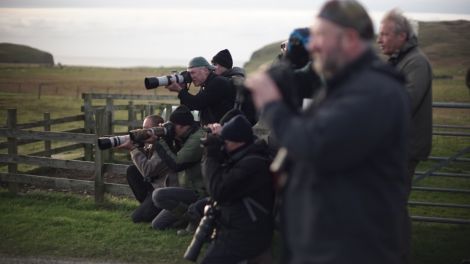 Birders gathered trying to capture photos of some of Fair Isles feathered migrant visitors. Photo courtesy of BBC Scotland.