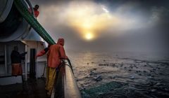 Ian Reid's image captures the process of hauling in the net on board the new Resilient.