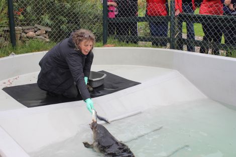 Jan feeding seal pup Marley at the sanctuary a few years ago.