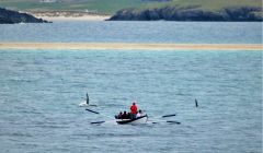 Jonny Christie's brilliant photo captures the Bigton rowers' encounter with orcas on Monday evening.