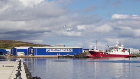 Pelagia Shetland's factory. Its Norway-based chief executive Egil Magne Haugstad is confident Brexit won't pose an issue - but not everyone in the local industry agrees. Photo: Shetland News/Hans J. Marter