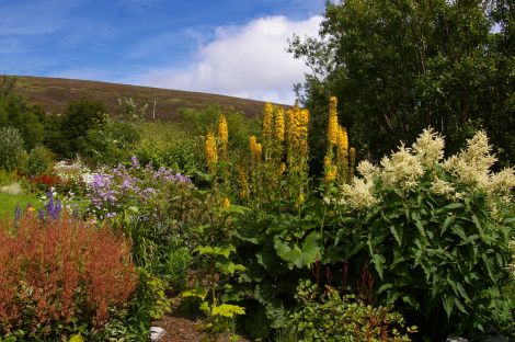 Lea Gardens at Tresta.