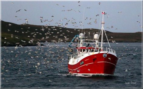 Local whitefish boat Tranquility fishing off Shetland. Photo: Ivan Reid