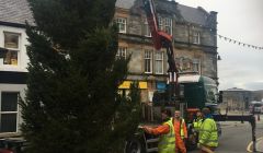 council workers erecting this year's Christmas tree at Lerwick's Market Cross - Photo: SIC