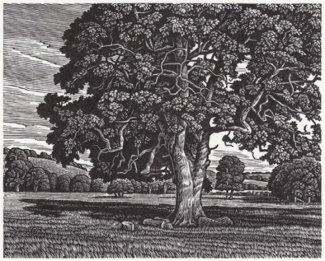 Ebble Valley Oak by Howard Phipps.